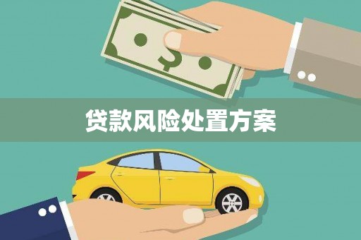 阿里山贷款风险处置方案