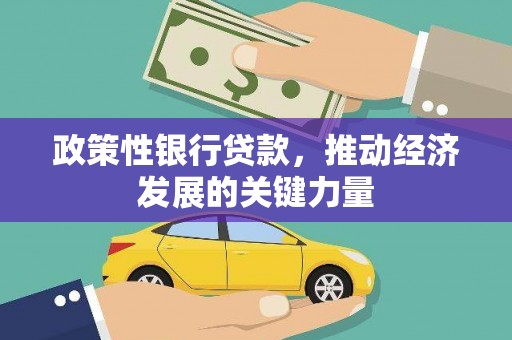 阿里山政策性银行贷款，推动经济发展的关键力量
