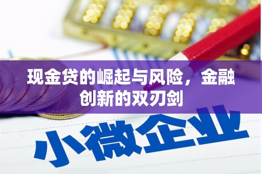 阿里山现金贷的崛起与风险，金融创新的双刃剑