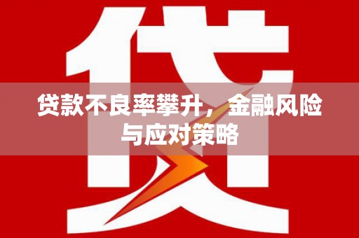 阿里山贷款不良率攀升，金融风险与应对策略