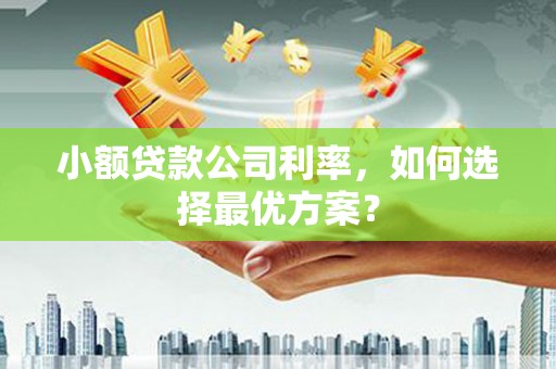 阿里山小额贷款公司利率，如何选择最优方案？
