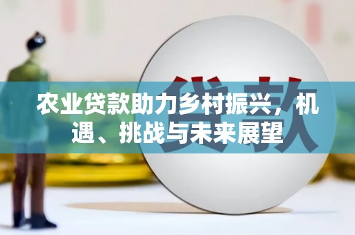 阿里山农业贷款助力乡村振兴，机遇、挑战与未来展望