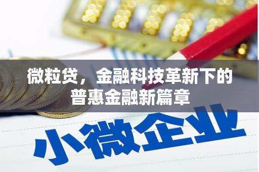 阿里山微粒贷，金融科技革新下的普惠金融新篇章