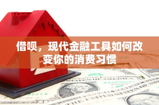 阿里山借呗，现代金融工具如何改变你的消费习惯