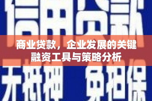 阿里山商业贷款，企业发展的关键融资工具与策略分析