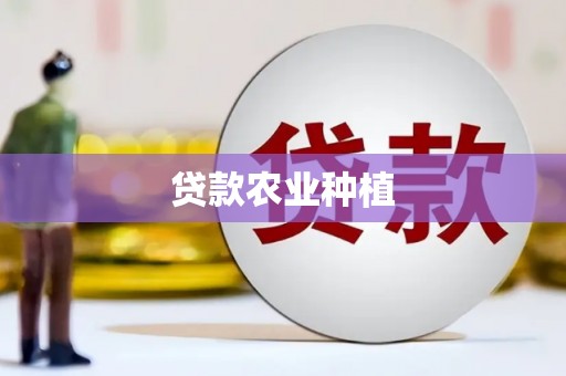 阿里山贷款农业种植