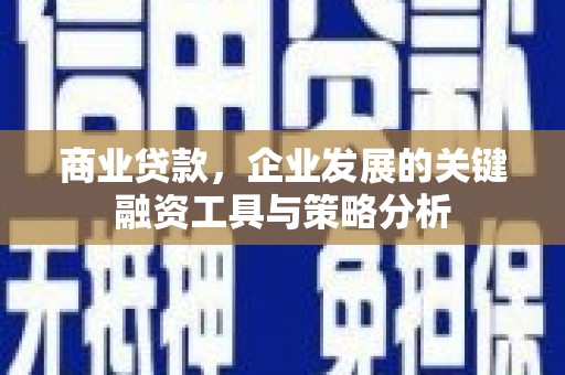 阿里山商业贷款，企业发展的关键融资工具与策略分析