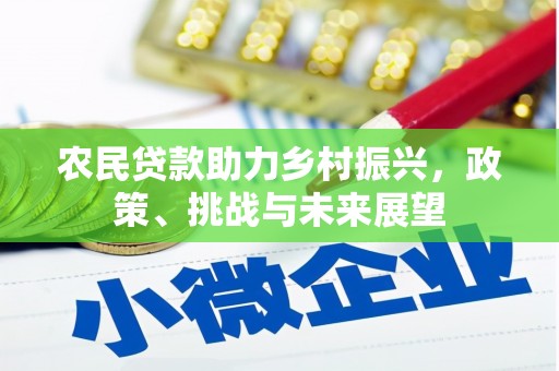 阿里山农民贷款助力乡村振兴，政策、挑战与未来展望