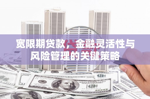 阿里山宽限期贷款，金融灵活性与风险管理的关键策略