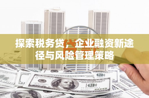 阿里山探索税务贷，企业融资新途径与风险管理策略
