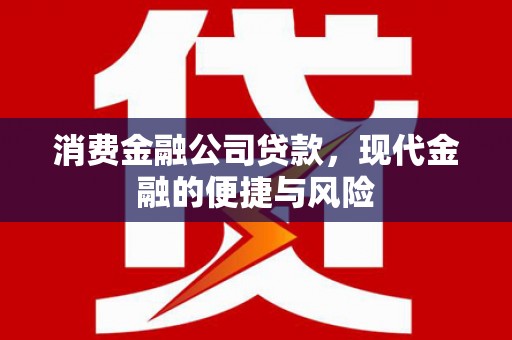 阿里山消费金融公司贷款，现代金融的便捷与风险