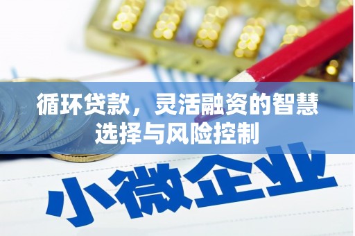 阿里山循环贷款，灵活融资的智慧选择与风险控制