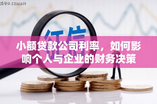 阿里山小额贷款公司利率，如何影响个人与企业的财务决策