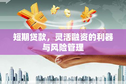 阿里山短期贷款，灵活融资的利器与风险管理