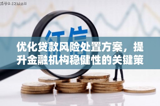 阿里山优化贷款风险处置方案，提升金融机构稳健性的关键策略