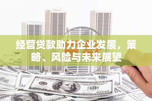 阿里山经营贷款助力企业发展，策略、风险与未来展望