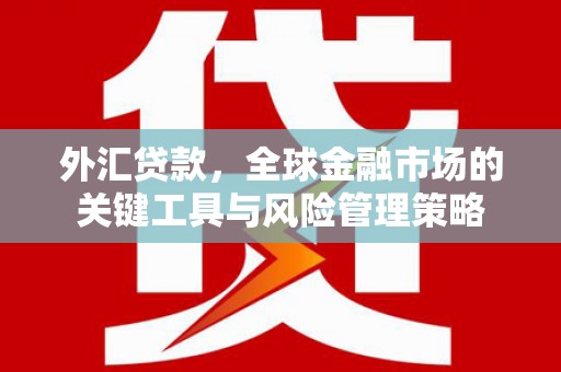 阿里山外汇贷款，全球金融市场的关键工具与风险管理策略