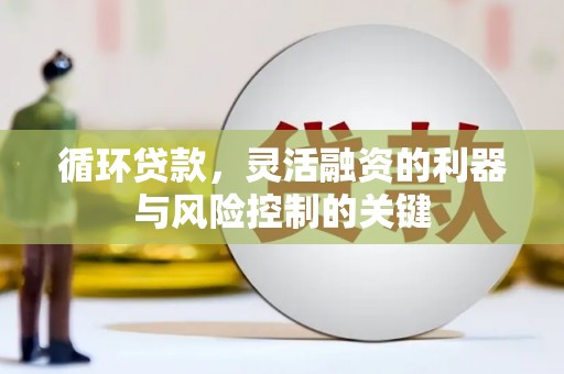 阿里山循环贷款，灵活融资的利器与风险控制的关键