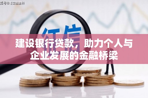 阿里山建设银行贷款，助力个人与企业发展的金融桥梁