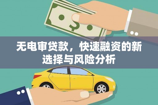 阿里山无电审贷款，快速融资的新选择与风险分析