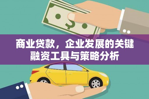 阿里山商业贷款，企业发展的关键融资工具与策略分析