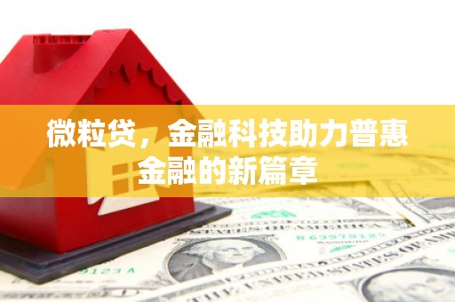 阿里山微粒贷，金融科技助力普惠金融的新篇章