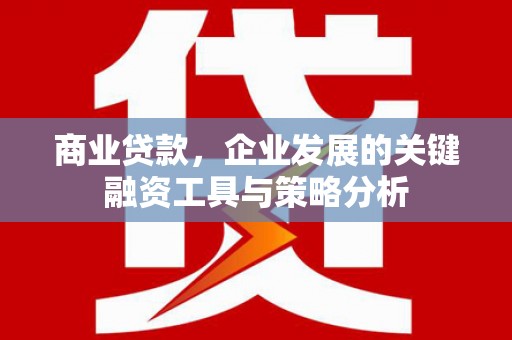 阿里山商业贷款，企业发展的关键融资工具与策略分析