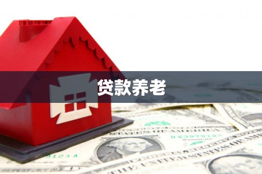 阿里山贷款养老