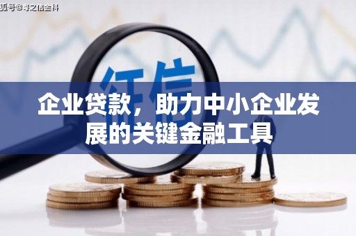 阿里山企业贷款，助力中小企业发展的关键金融工具