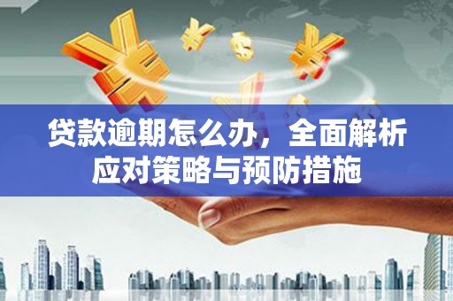阿里山贷款逾期怎么办，全面解析应对策略与预防措施
