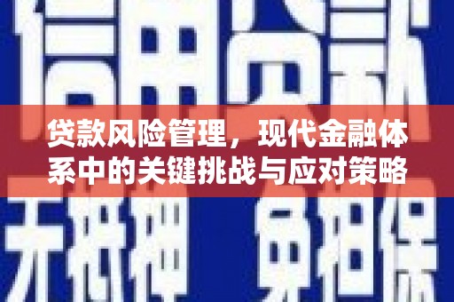 阿里山贷款风险管理，现代金融体系中的关键挑战与应对策略