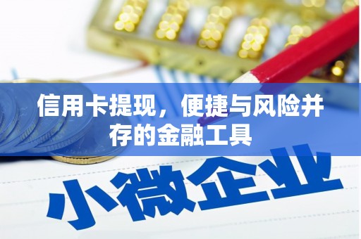 阿里山信用卡提现，便捷与风险并存的金融工具