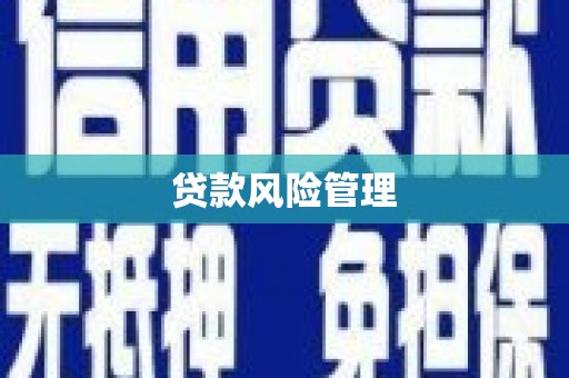 阿里山贷款风险管理