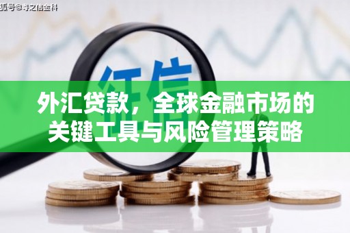 阿里山外汇贷款，全球金融市场的关键工具与风险管理策略