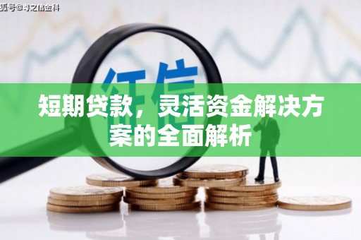阿里山短期贷款，灵活资金解决方案的全面解析
