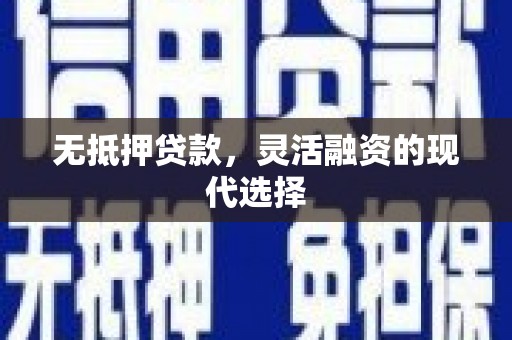 阿里山无抵押贷款，灵活融资的现代选择