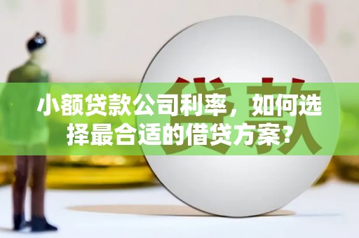 阿里山小额贷款公司利率，如何选择最合适的借贷方案？