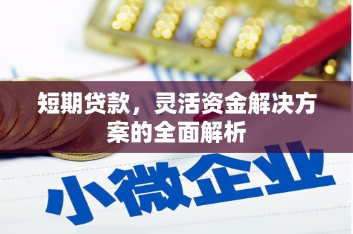 阿里山短期贷款，灵活资金解决方案的全面解析