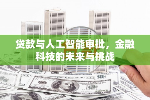 阿里山贷款与人工智能审批，金融科技的未来与挑战