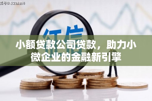 阿里山小额贷款公司贷款，助力小微企业的金融新引擎