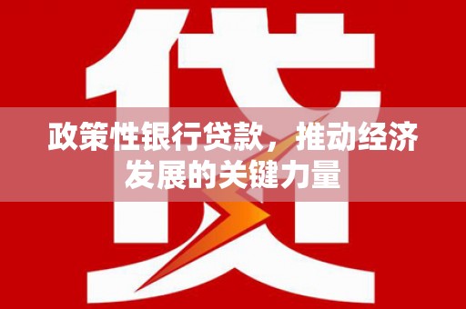 阿里山政策性银行贷款，推动经济发展的关键力量