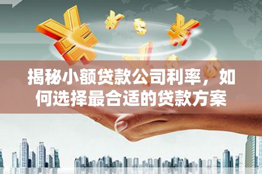 阿里山揭秘小额贷款公司利率，如何选择最合适的贷款方案