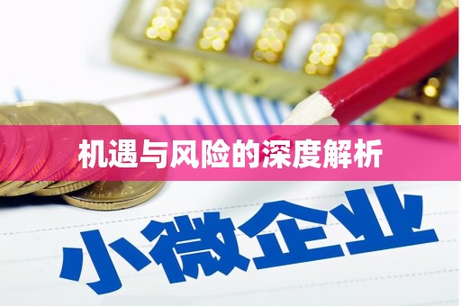 阿里山机遇与风险的深度解析