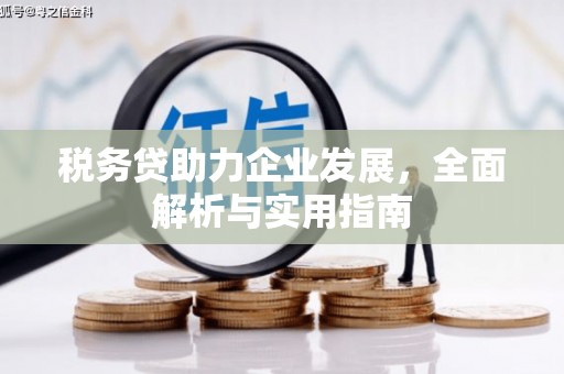 阿里山税务贷助力企业发展，全面解析与实用指南