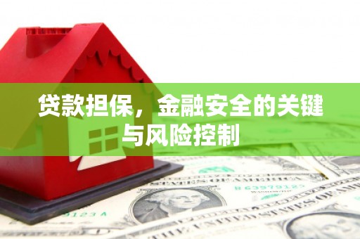 阿里山贷款担保，金融安全的关键与风险控制