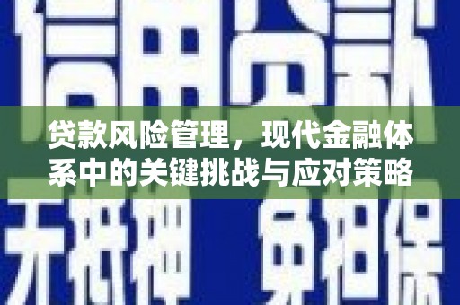 阿里山贷款风险管理，现代金融体系中的关键挑战与应对策略