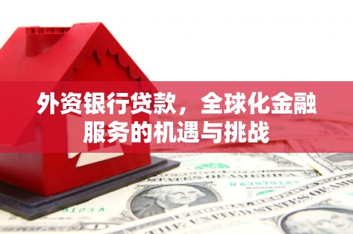 阿里山外资银行贷款，全球化金融服务的机遇与挑战