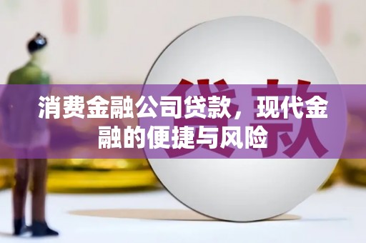 阿里山消费金融公司贷款，现代金融的便捷与风险