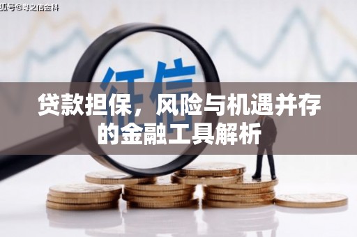 阿里山贷款担保，风险与机遇并存的金融工具解析