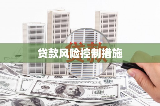 阿里山贷款风险控制措施